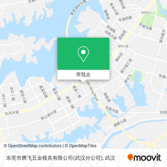 东莞市腾飞五金模具有限公司(武汉分公司)地图