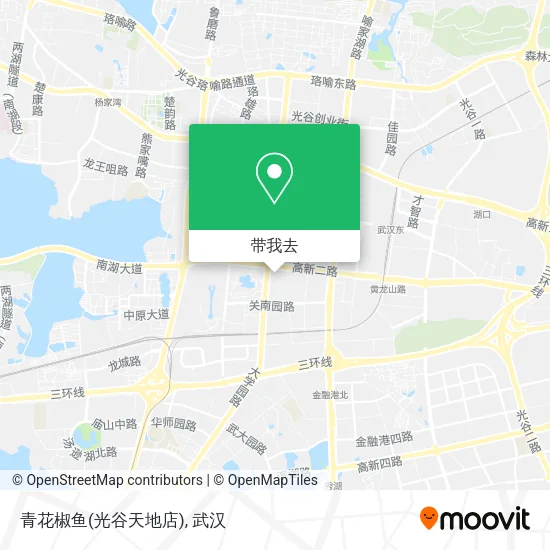 青花椒鱼(光谷天地店)地图