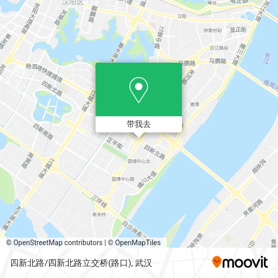 四新北路/四新北路立交桥(路口)地图