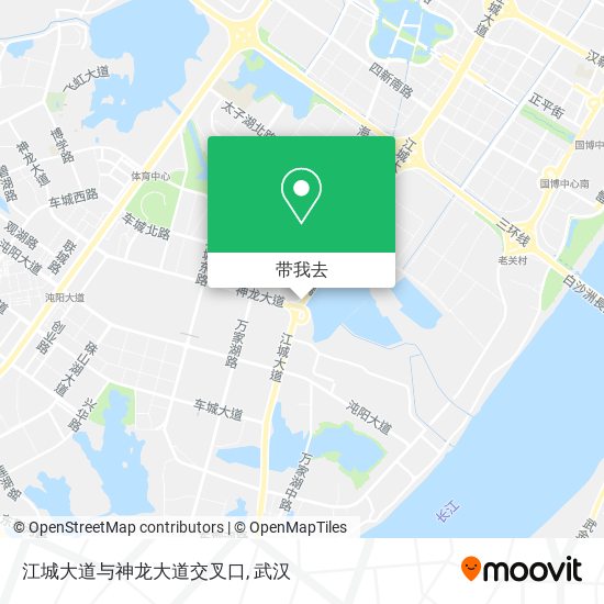江城大道与神龙大道交叉口地图