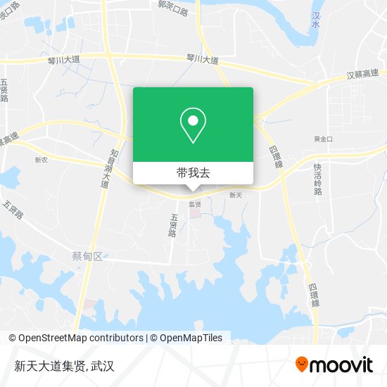 新天大道集贤地图
