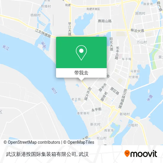武汉新港投国际集装箱有限公司地图