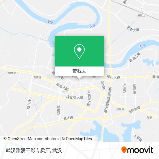 武汉雅媛三彩专卖店地图