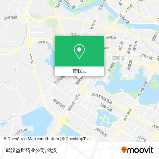 武汉益世药业公司地图