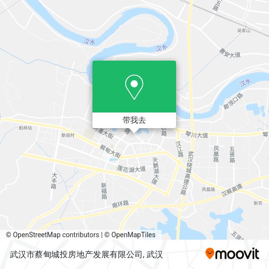 武汉市蔡甸城投房地产发展有限公司地图