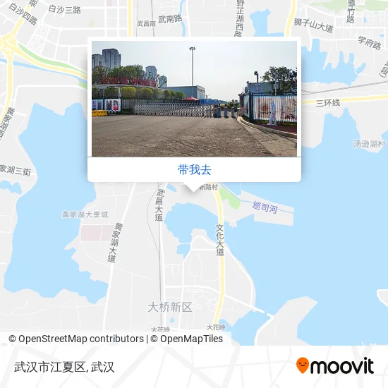 武汉市江夏区地图