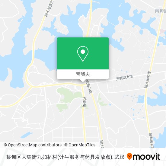 蔡甸区大集街九如桥村(计生服务与药具发放点)地图