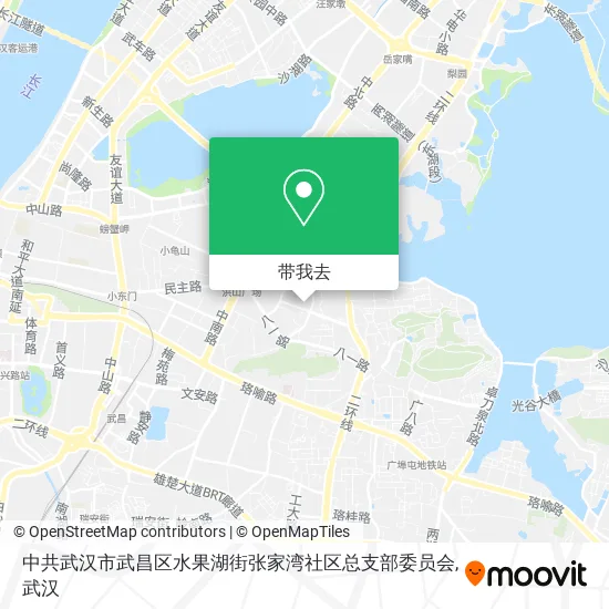 中共武汉市武昌区水果湖街张家湾社区总支部委员会地图