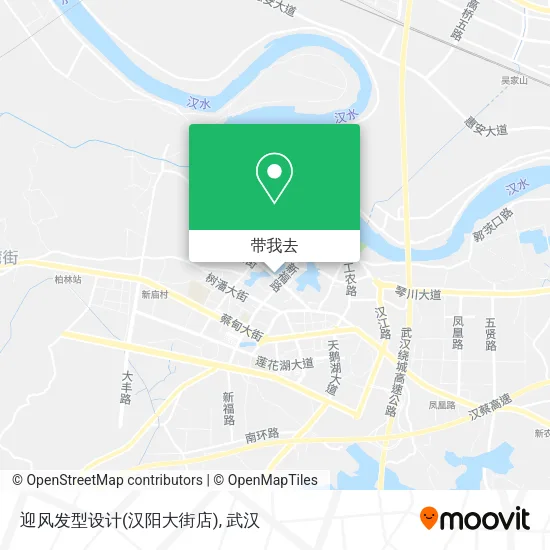 迎风发型设计(汉阳大街店)地图
