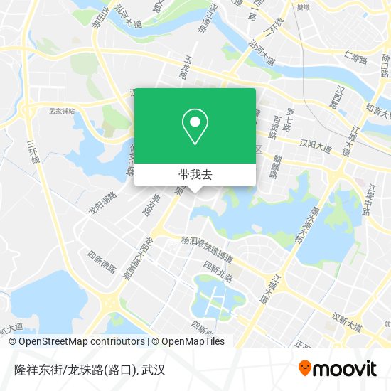 隆祥东街/龙珠路(路口)地图