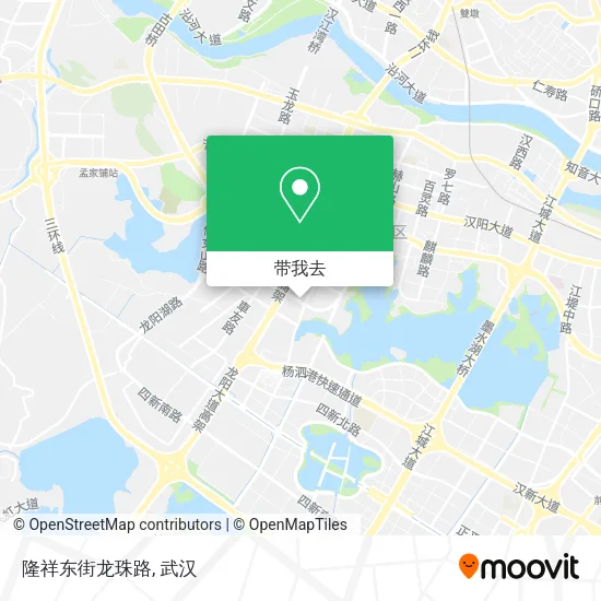 隆祥东街龙珠路地图