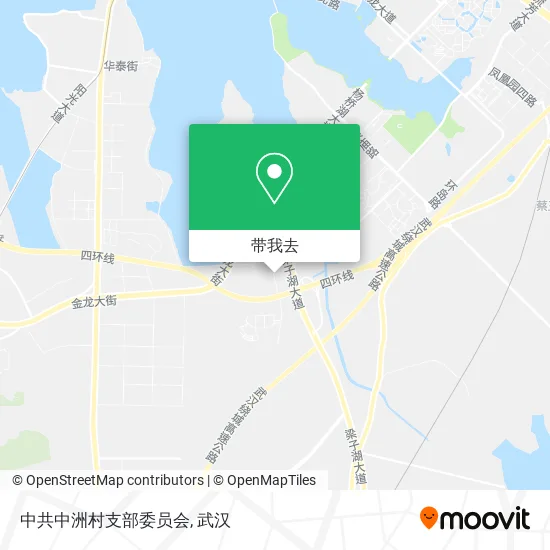 中共中洲村支部委员会地图