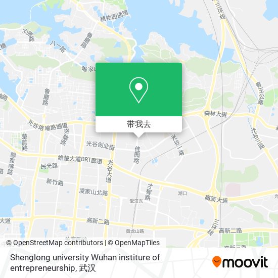 Shenglong university Wuhan institure of entrepreneurship地图