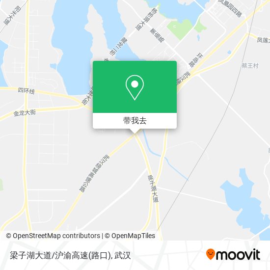 梁子湖大道/沪渝高速(路口)地图