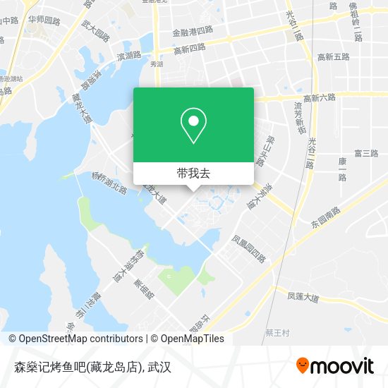 森燊记烤鱼吧(藏龙岛店)地图