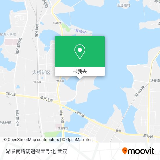 湖景南路汤逊湖壹号北地图