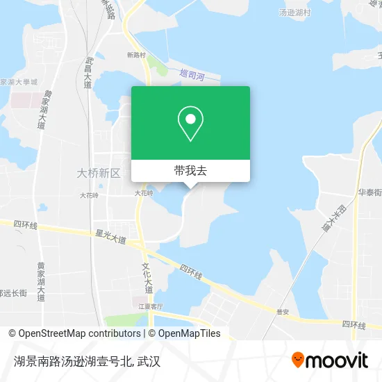 湖景南路汤逊湖壹号北地图