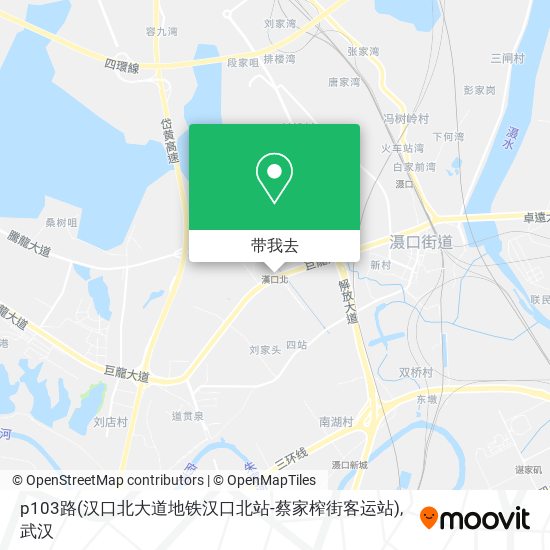 p103路(汉口北大道地铁汉口北站-蔡家榨街客运站)地图