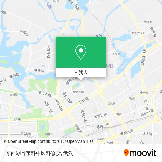 东西湖吕宗科中医科诊所地图