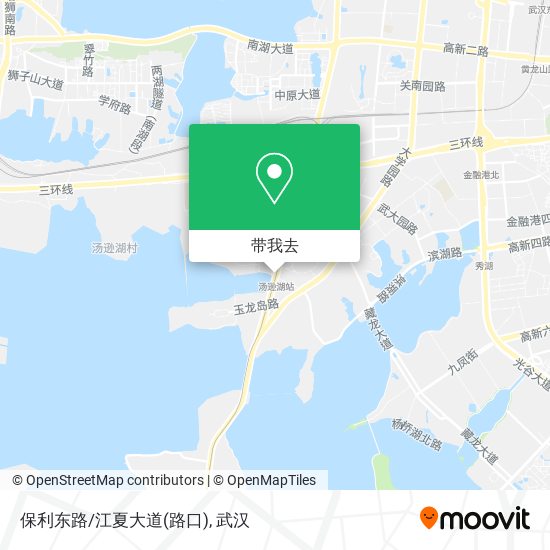 保利东路/江夏大道(路口)地图