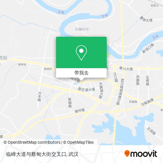 临嶂大道与蔡甸大街交叉口地图