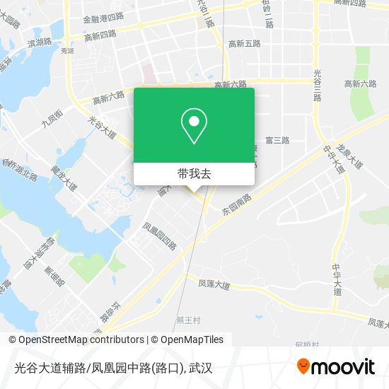 光谷大道辅路/凤凰园中路(路口)地图