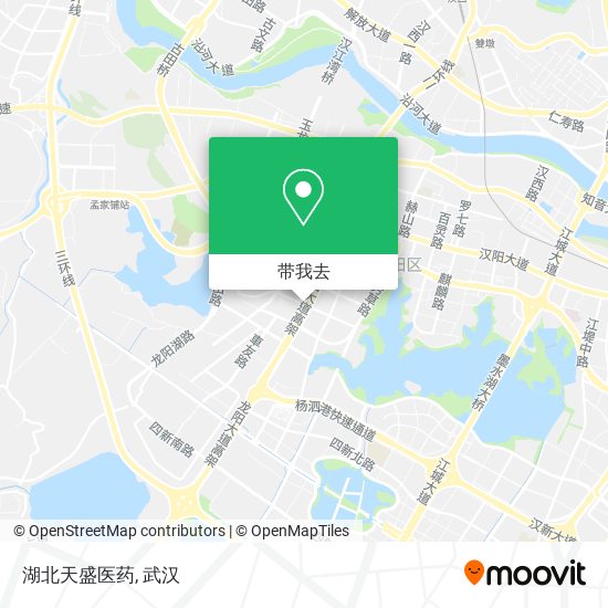 湖北天盛医药地图