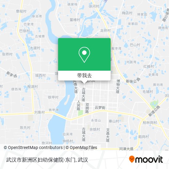 武汉市新洲区妇幼保健院-东门地图