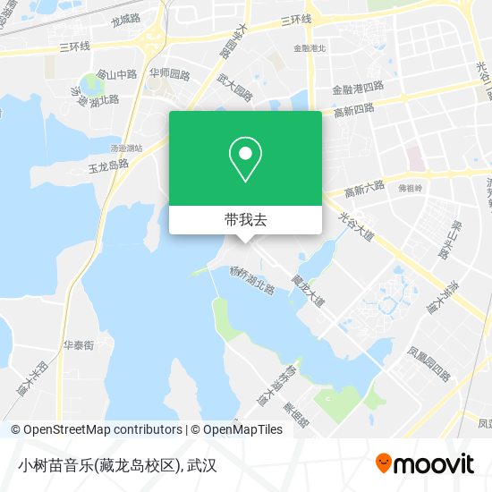 小树苗音乐(藏龙岛校区)地图