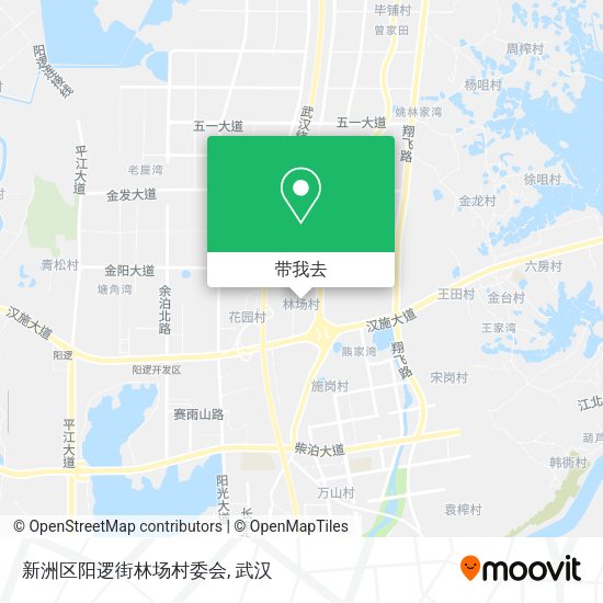 新洲区阳逻街林场村委会地图