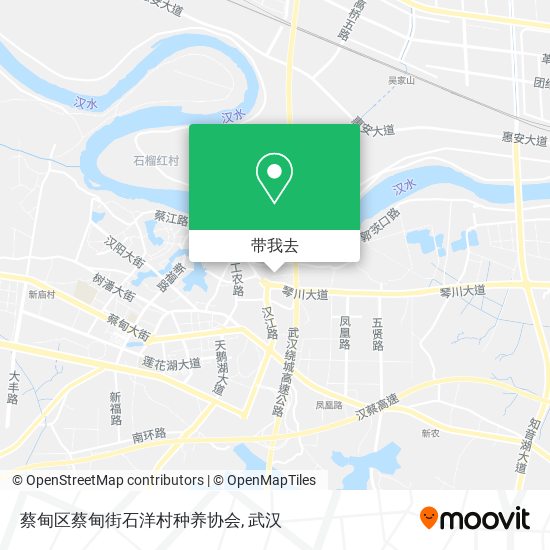 蔡甸区蔡甸街石洋村种养协会地图