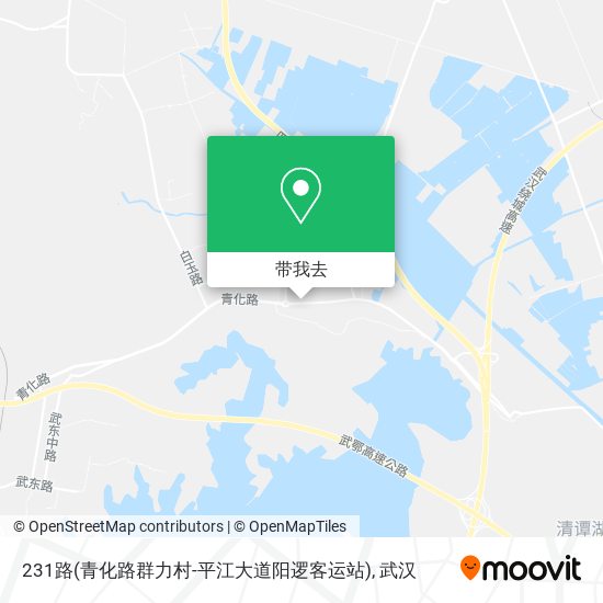 231路(青化路群力村-平江大道阳逻客运站)地图