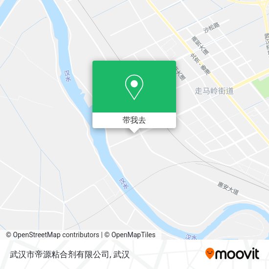 武汉市帝源粘合剂有限公司地图