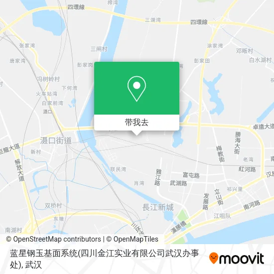 蓝星钢玉基面系统(四川金江实业有限公司武汉办事处)地图