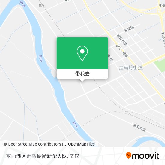 东西湖区走马岭街新华大队地图