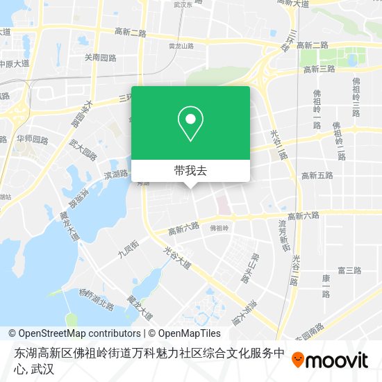 东湖高新区佛祖岭街道万科魅力社区综合文化服务中心地图