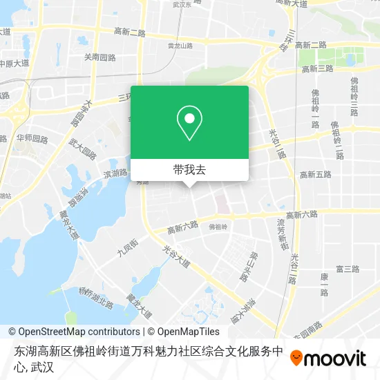 东湖高新区佛祖岭街道万科魅力社区综合文化服务中心地图