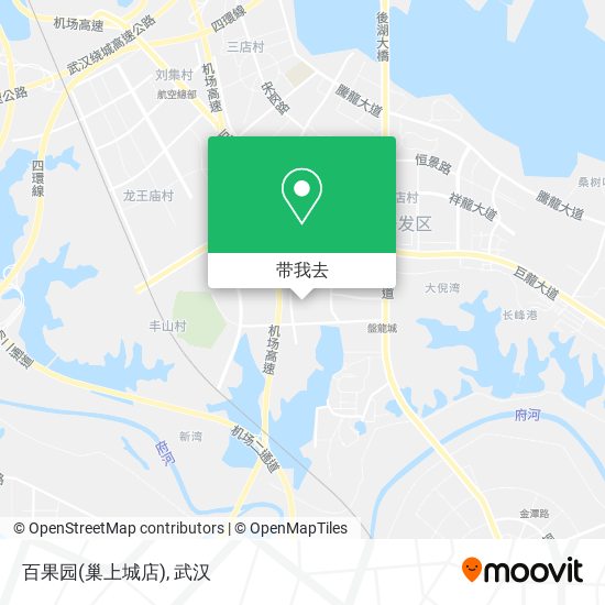 百果园(巢上城店)地图