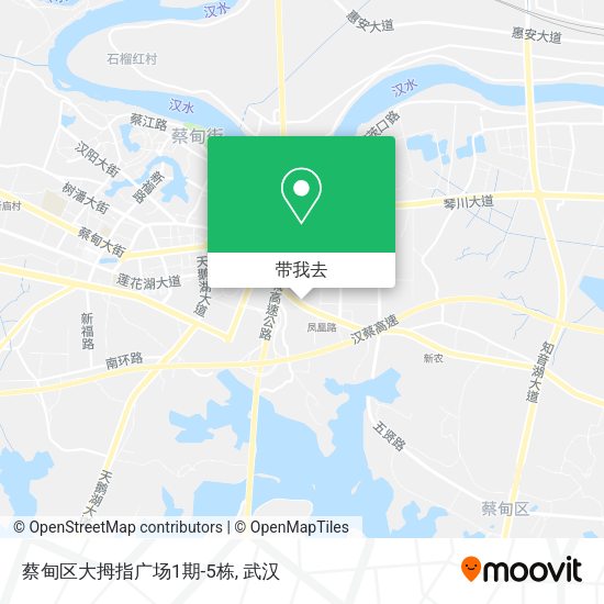 蔡甸区大拇指广场1期-5栋地图