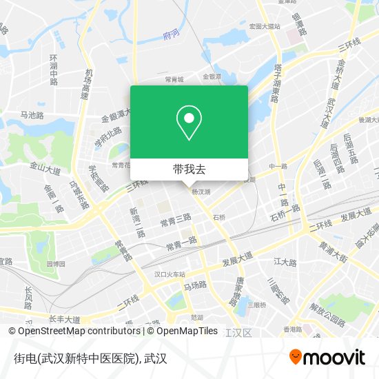 街电(武汉新特中医医院)地图