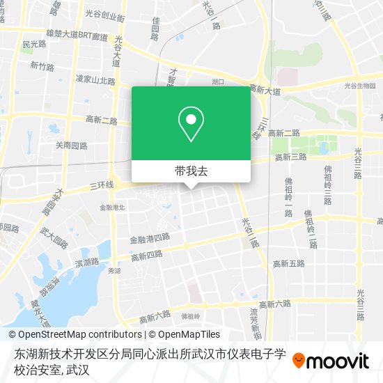 东湖新技术开发区分局同心派出所武汉市仪表电子学校治安室地图