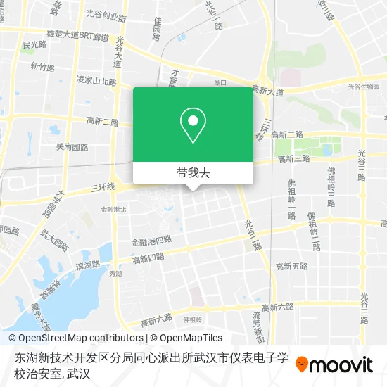 东湖新技术开发区分局同心派出所武汉市仪表电子学校治安室地图