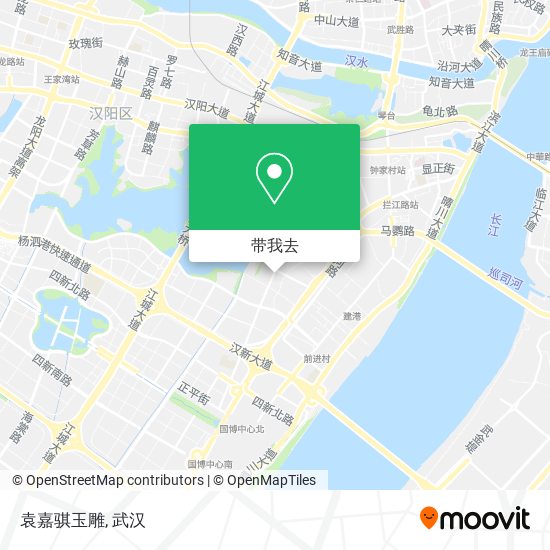 袁嘉骐玉雕地图