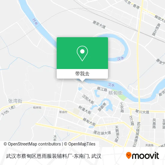武汉市蔡甸区恩雨服装辅料厂-东南门地图