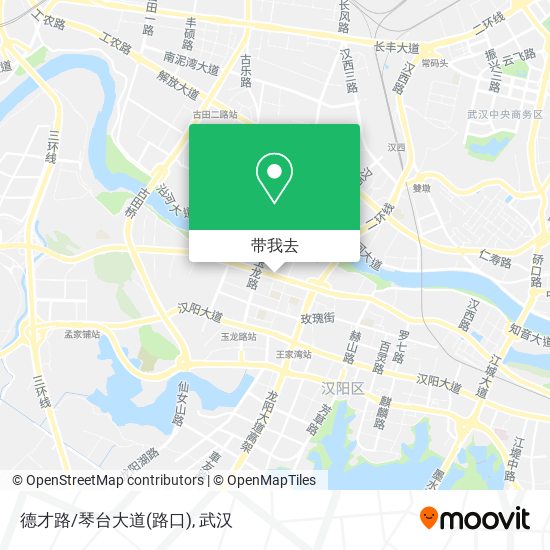 德才路/琴台大道(路口)地图