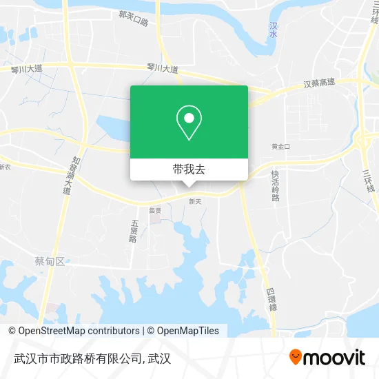 武汉市市政路桥有限公司地图