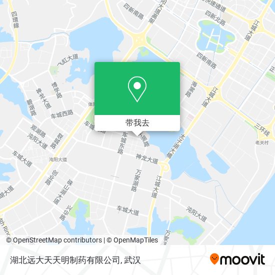 湖北远大天天明制药有限公司地图