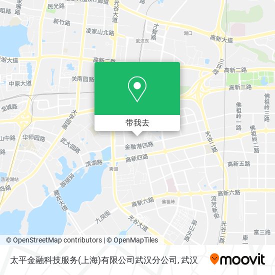 太平金融科技服务(上海)有限公司武汉分公司地图