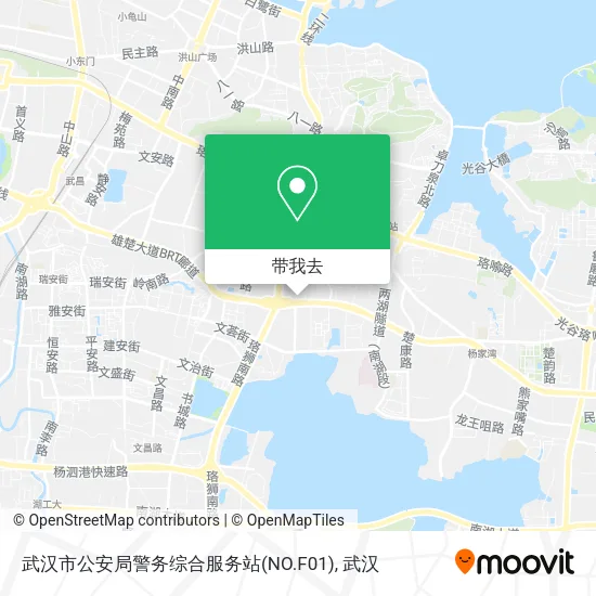 武汉市公安局警务综合服务站(NO.F01)地图