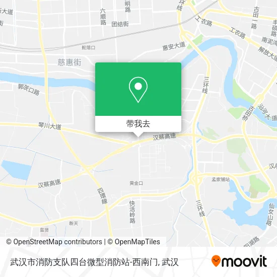 武汉市消防支队四台微型消防站-西南门地图